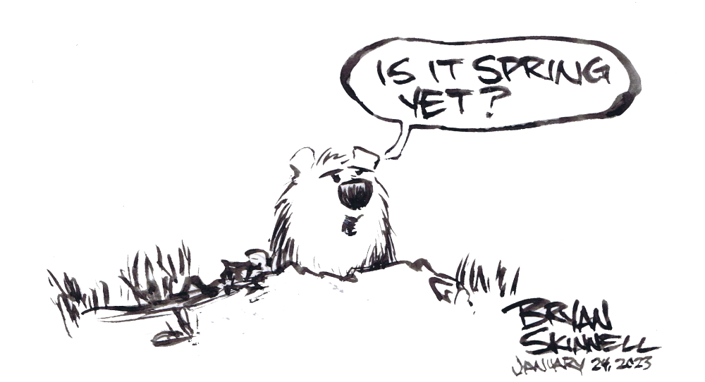 My funny black and white cartoon showing a groundhog with spring fever. Drawn by artist Bryan Skinnell.