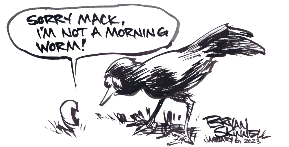 A funny black and white cartoon of an early bird about to get the worm. Drawn by artist Bryan Skinnell.