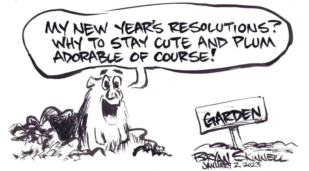 Funny black and white groundhog cartoon. Drawn by artist Bryan Skinnell.