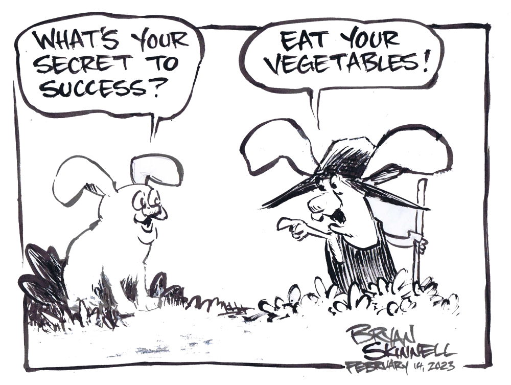 Funny cartoon of some rabbits goofing off in the garden. Drawn by artist Bryan Skinnell.
