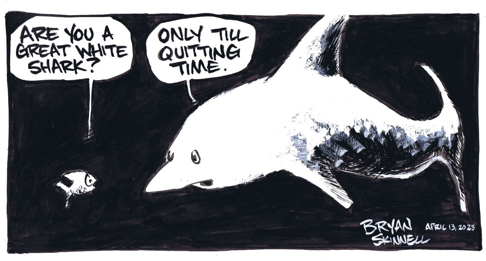My funny black and white cartoon of a fish talking to a great white shark. Drawn by artist Bryan Skinnell.