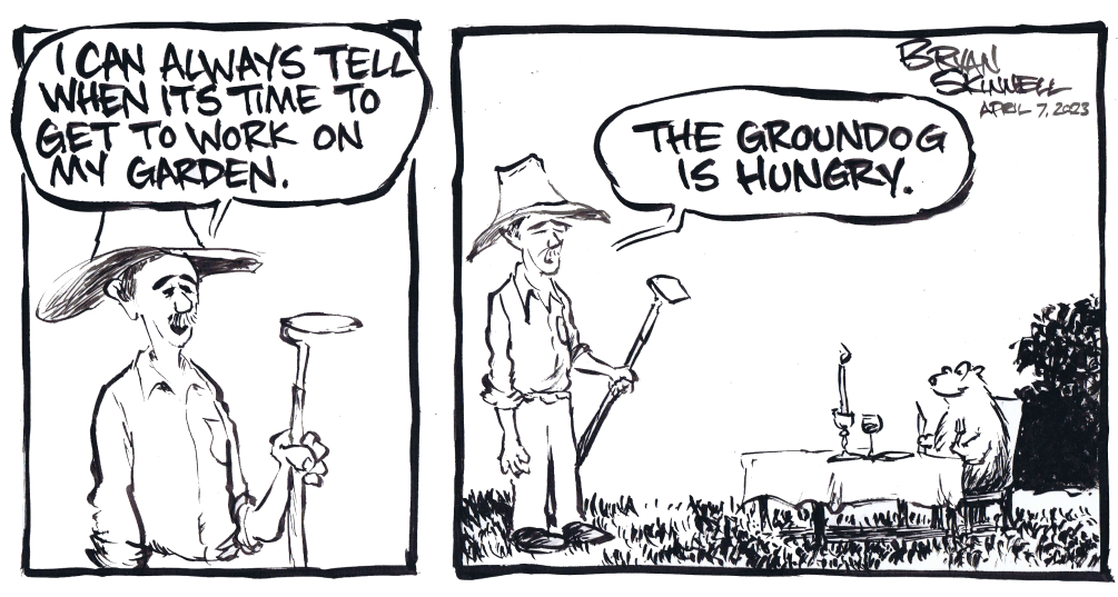 My funny black and white comic of a hungry groundhog in the garden. Drawn by artist Bryan Skinnell.