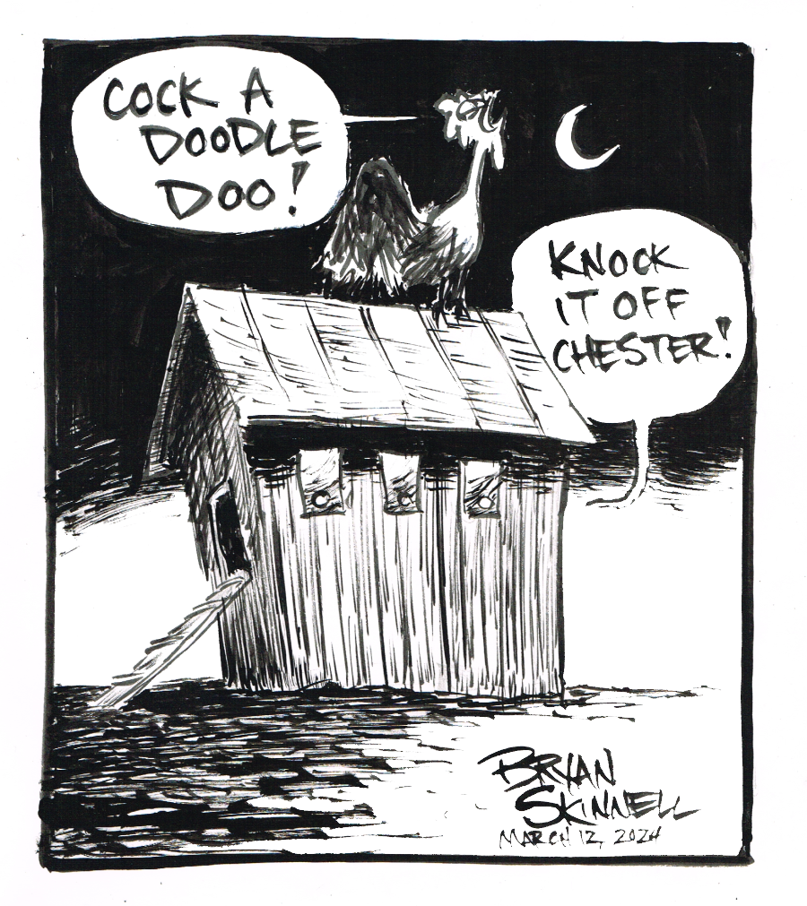 My funny black and white cartoon of a rooster crowing on a chicken coop. Drawn by artist Bryan Skinnell.