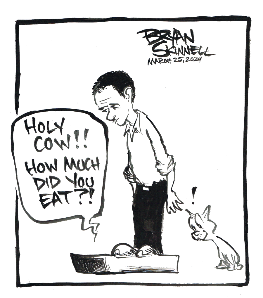 Funny black and white cartoon of Bryan checking his weight on a bathroom scale. Drawn by artist Bryan Skinnell.