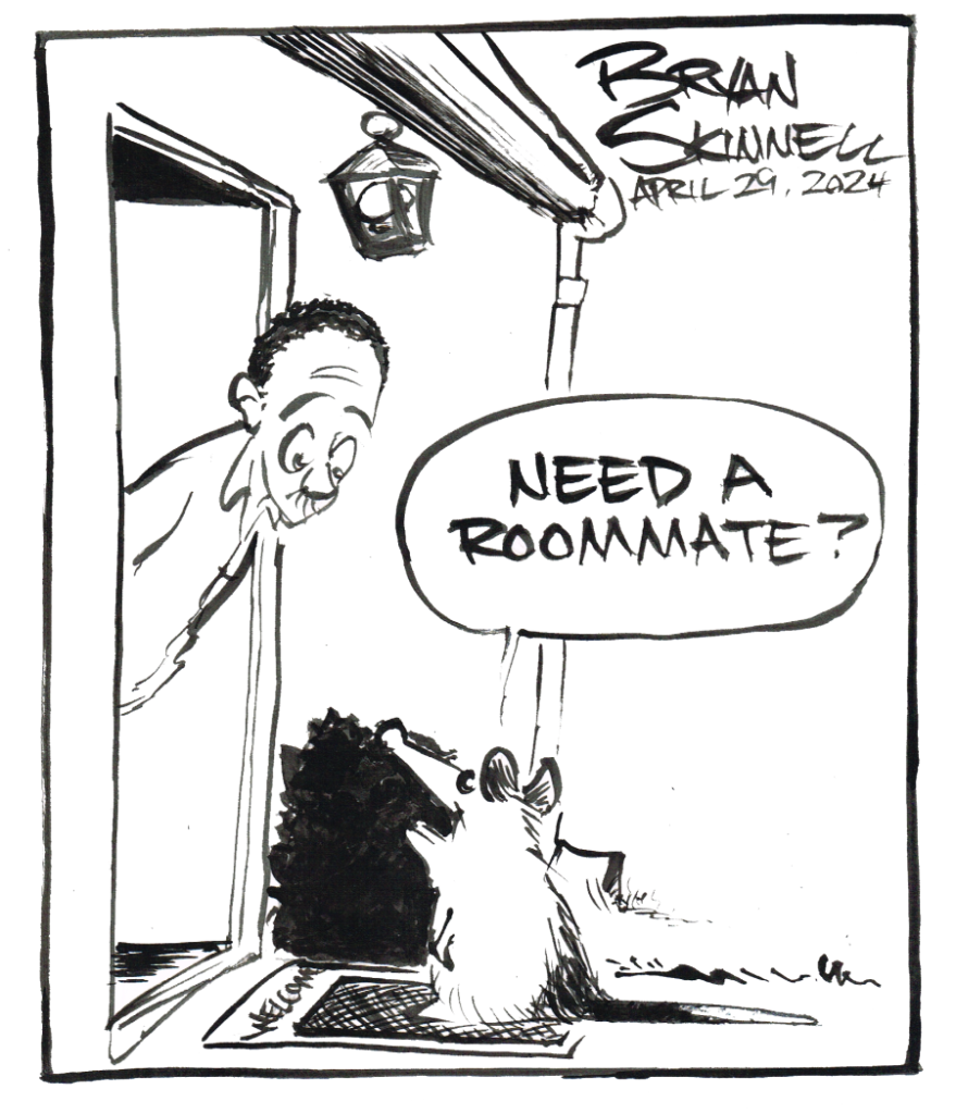 My funny black and white cartoon of an opossum stopping by and asking to be a roommate. Drawn by artist Bryan Skinnell.