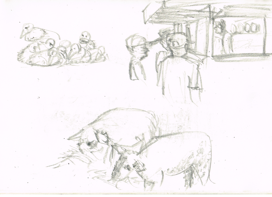 Random sketches of the Bedford County Fair. Drawings by artist Bryan Skinnell.