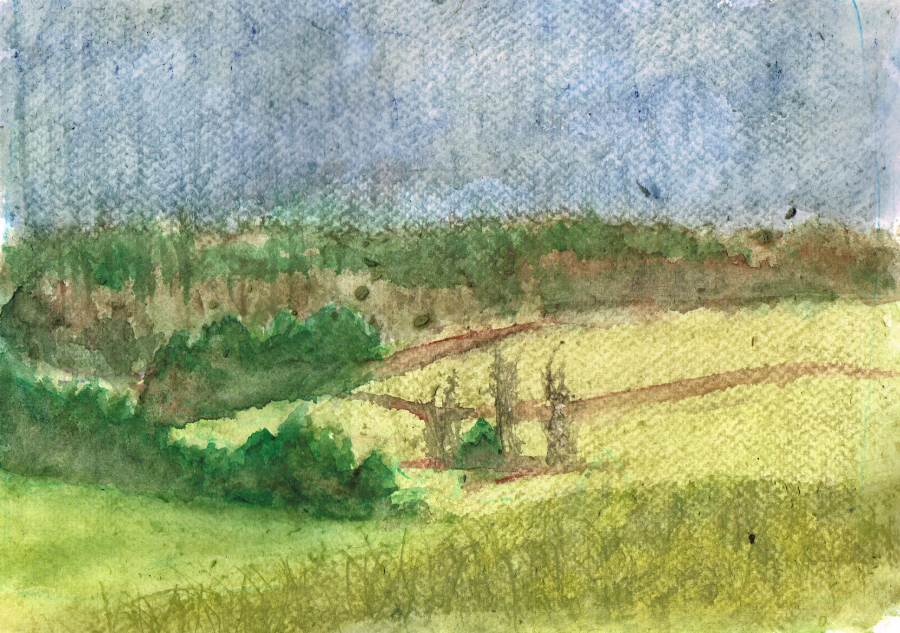 Watercolor painting of a back field on a gray and rainy day. Painted by artist Bryan Skinnell.