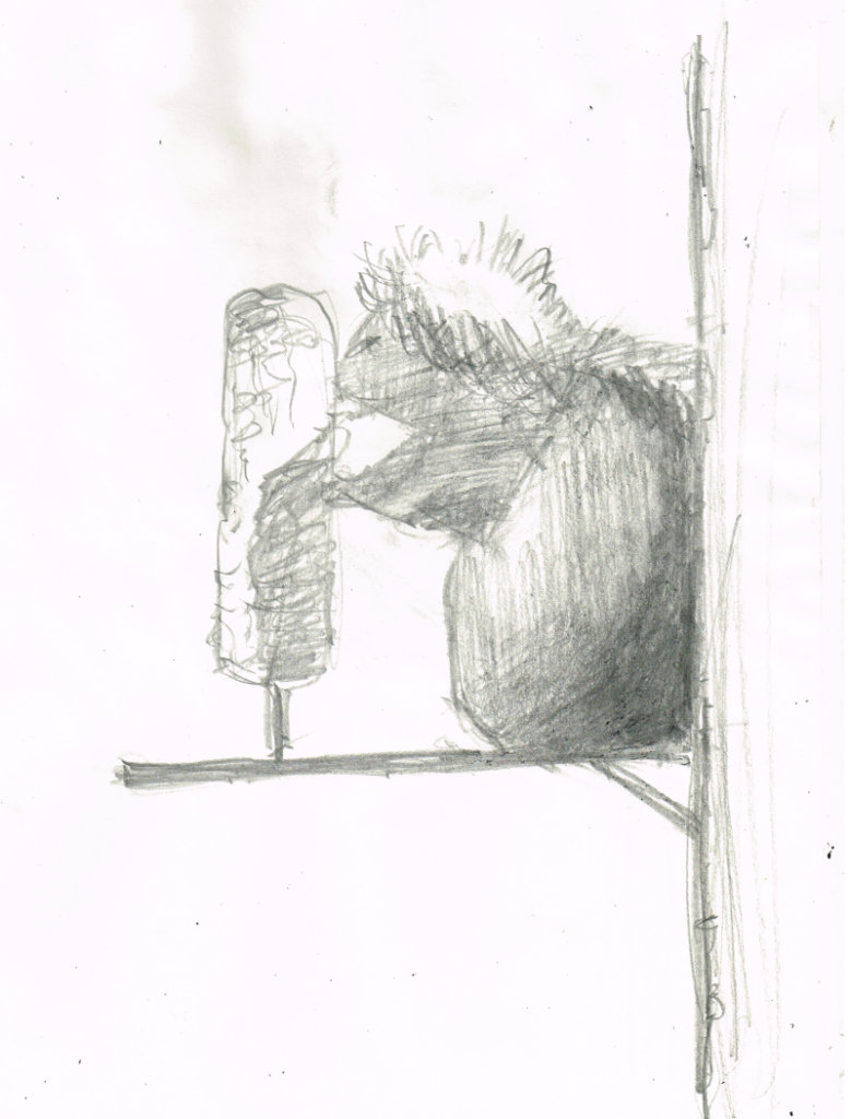 Pencil sketch of a hungry squirrel munching on a corn cob. Drawing by artist Bryan Skinnell.