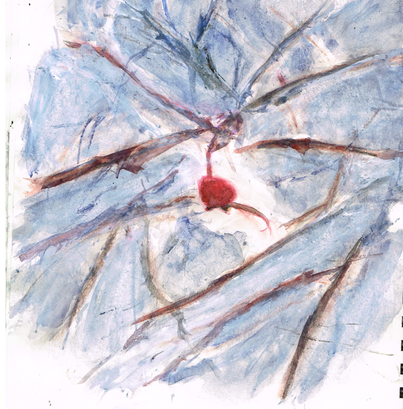 Watercolor painting of a bright red rose hip encrusted in ice. Painting done by artist Bryan Skinnell.